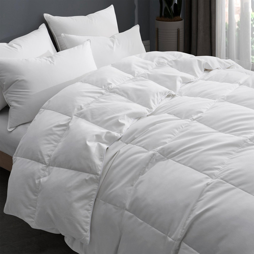 600 All Season Goose Down Comforter